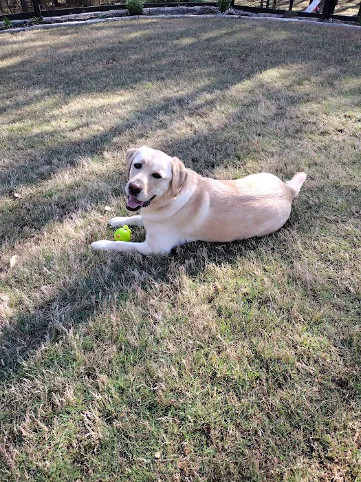Sharpsburg Animal Hospital Picture 5