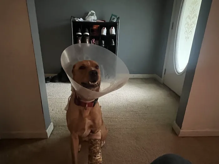 Sharpsburg Animal Hospital Picture 4