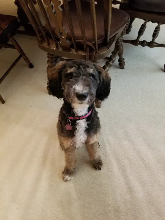 Sharpsburg Animal Hospital Picture 2