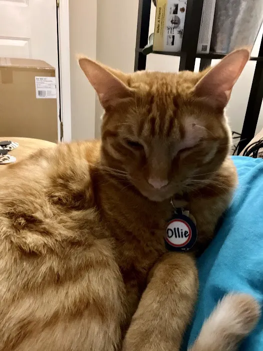 Sharpsburg Animal Hospital Picture 7