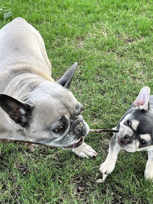 Sharpsburg Animal Hospital Picture 10