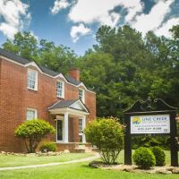 Line Creek Animal Hospital ico