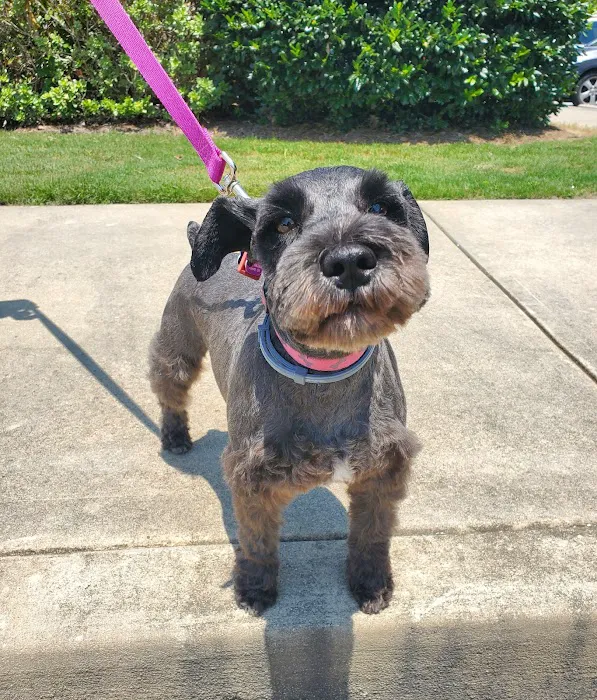 Family Friend Animal Hospital & Pet Lodge, Summerlin Boulevard, Newnan, GA Picture 2