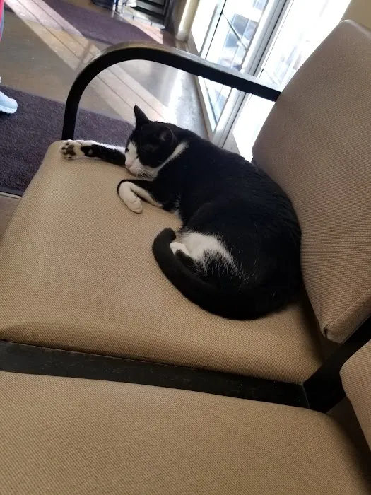 Family Friend Animal Hospital & Pet Lodge, Summerlin Boulevard, Newnan, GA Picture 1