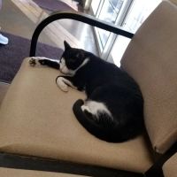 Family Friend Animal Hospital & Pet Lodge, Summerlin Boulevard, Newnan, GA ico