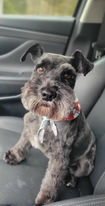 Family Friend Animal Hospital & Pet Lodge, Summerlin Boulevard, Newnan, GA Picture 3