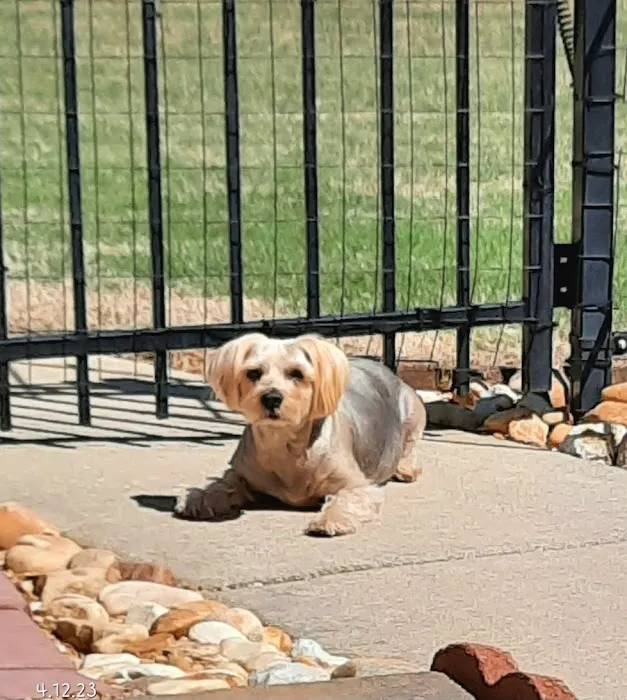 Family Friend Animal Hospital & Pet Lodge, Summerlin Boulevard, Newnan, GA Picture 4