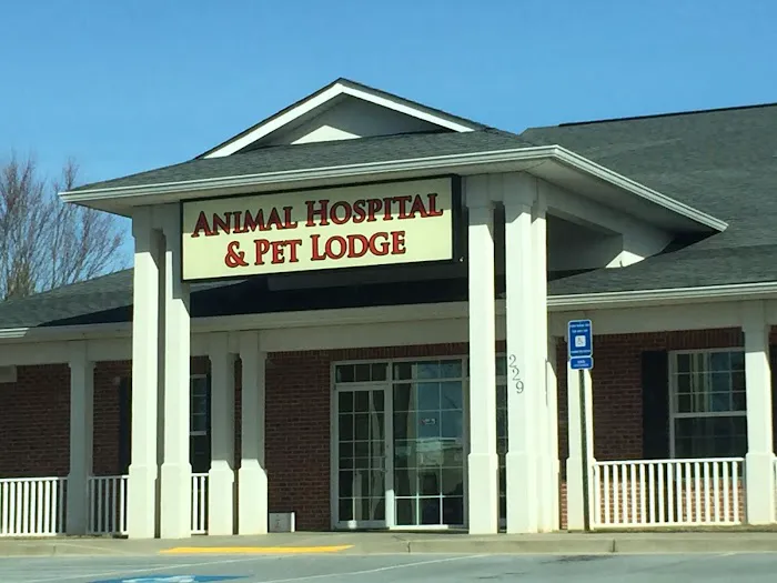 Family Friend Animal Hospital & Pet Lodge, Summerlin Boulevard, Newnan, GA Picture 8