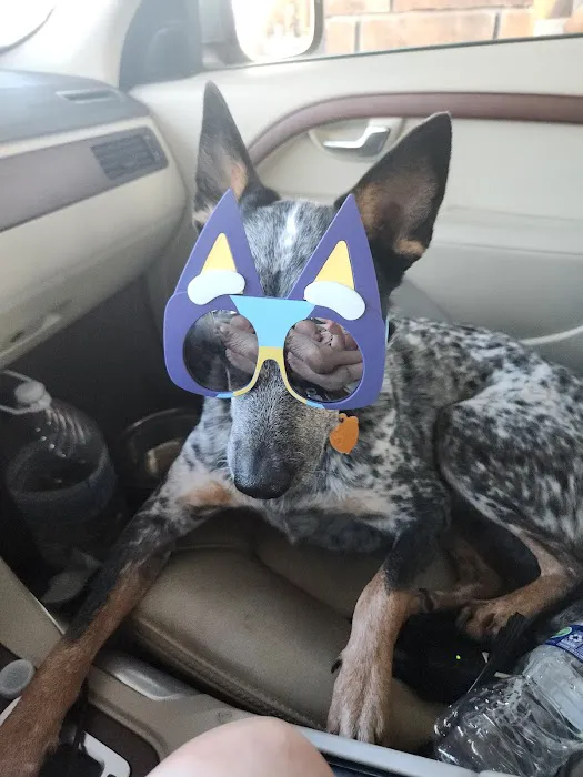 Crescent Veterinary Hospital Picture 1