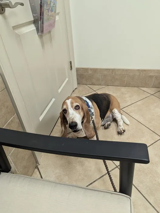 Crescent Veterinary Hospital Picture 2