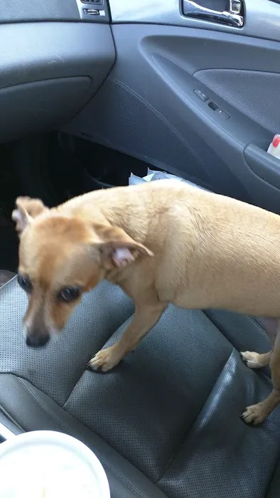 Crescent Veterinary Hospital Picture 5