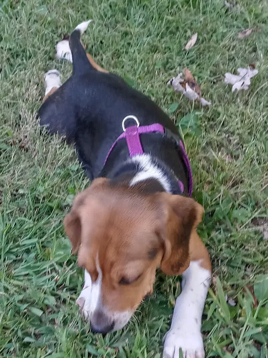 Probst Veterinary Clinic Picture 1