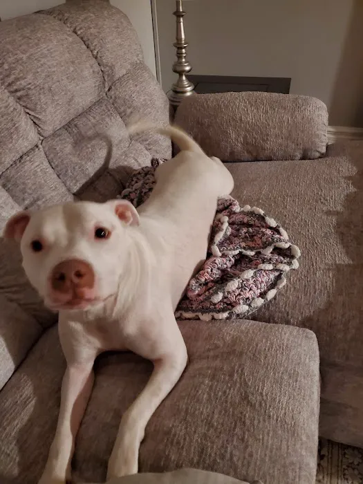 Probst Veterinary Clinic Picture 4