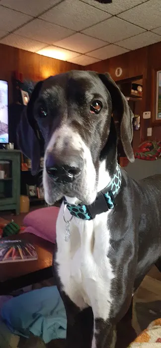 Probst Veterinary Clinic Picture 2