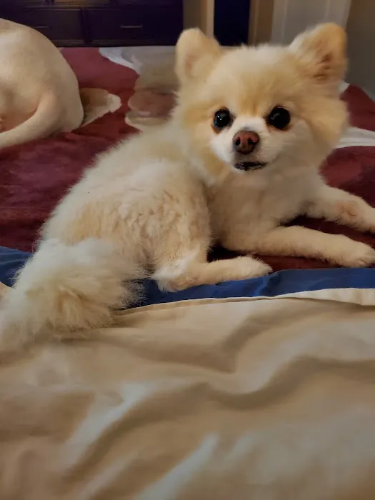 Probst Veterinary Clinic Picture 3