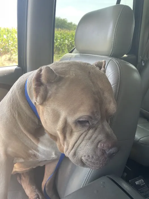 Probst Veterinary Clinic Picture 5