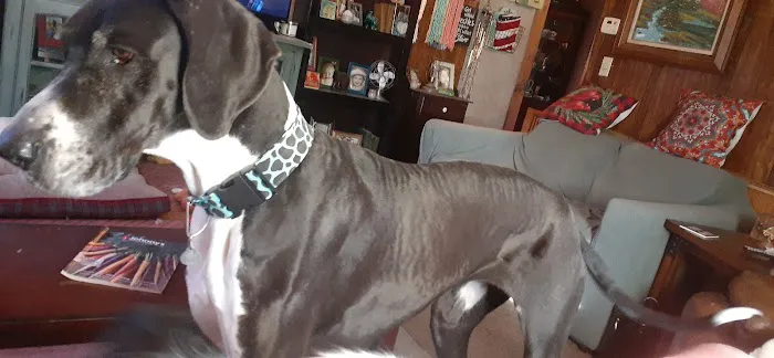 Probst Veterinary Clinic Picture 7