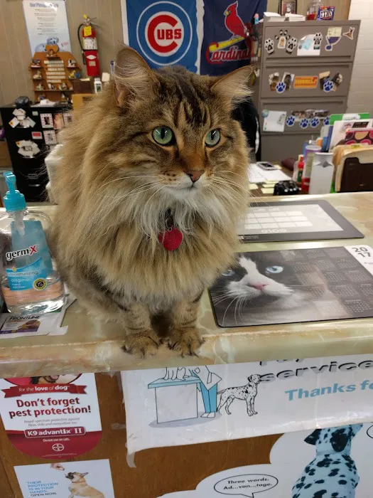 Probst Veterinary Clinic Picture 9