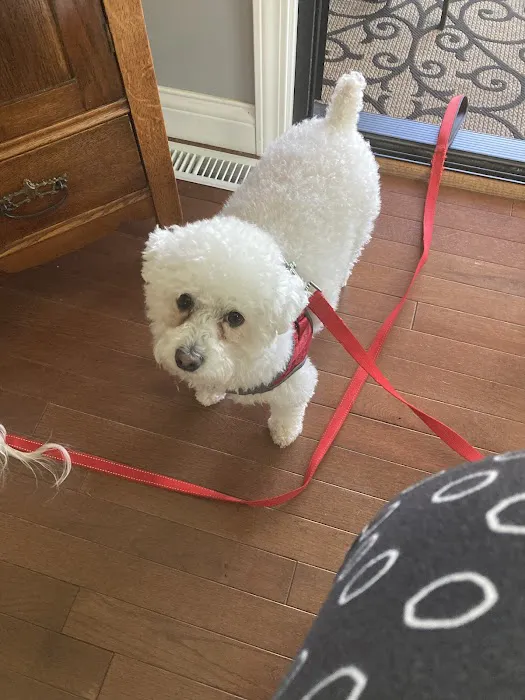 Hillsboro Advanced Veterinary Care Picture 2