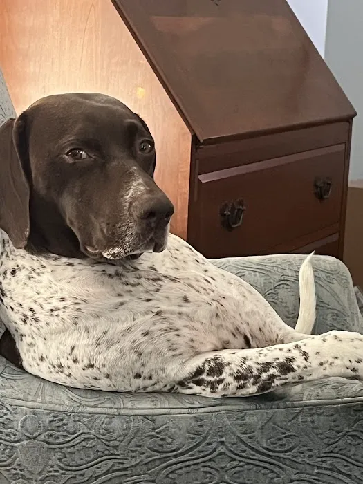 Hillsboro Advanced Veterinary Care Picture 5