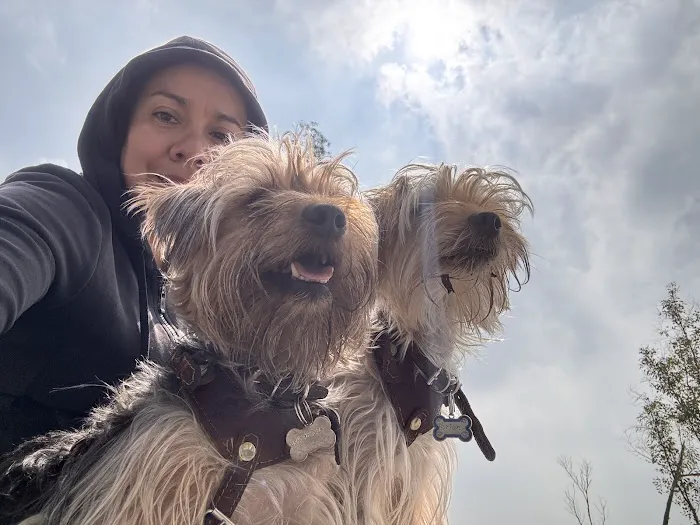 Hillsboro Advanced Veterinary Care Picture 8