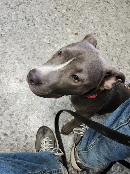 Bethalto Animal Clinic Picture 4