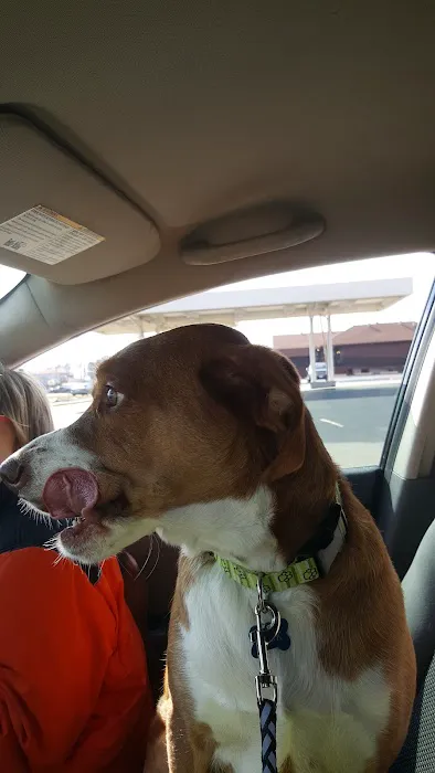 Bethalto Animal Clinic Picture 7