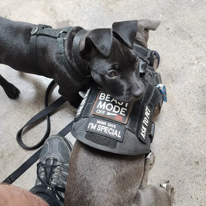 Bethalto Animal Clinic Picture 8