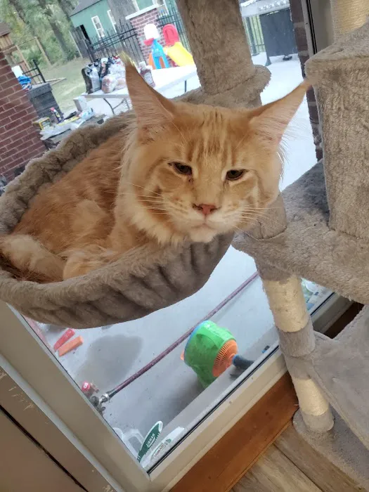 Fort Russell Veterinary Services Picture 1