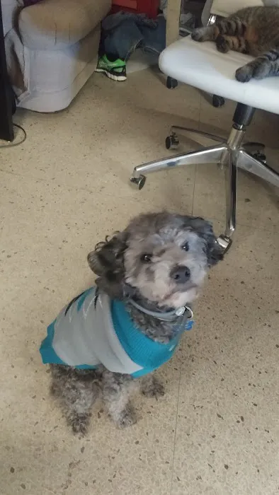 Fort Russell Veterinary Services Picture 2