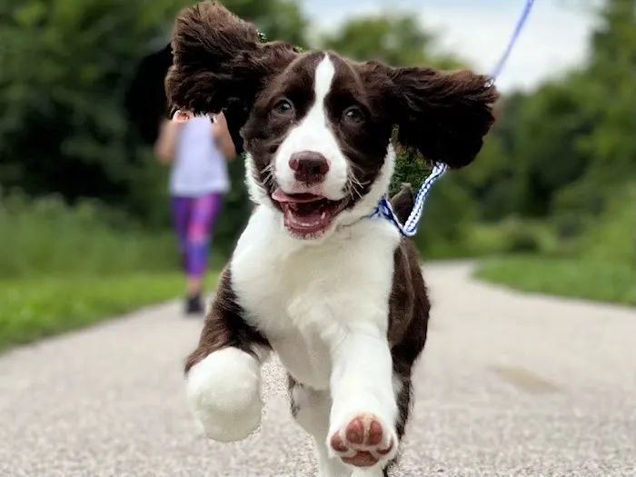 Edwardsville Pet Hospital Picture 1