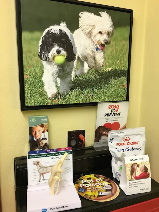 Edwardsville Pet Hospital Picture 5