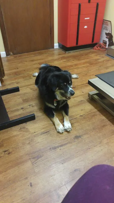 Edwardsville Pet Hospital Picture 3