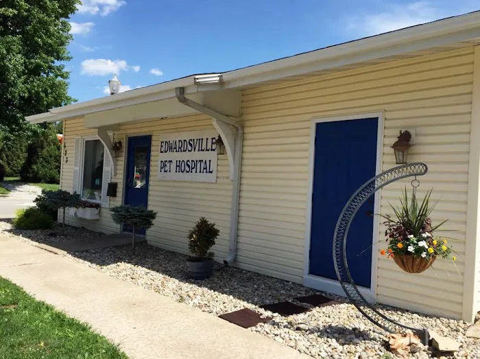 Edwardsville Pet Hospital Picture 9