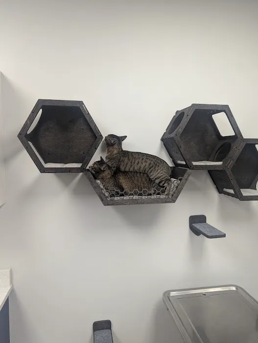 Rosewood Pet Hospital Picture 2