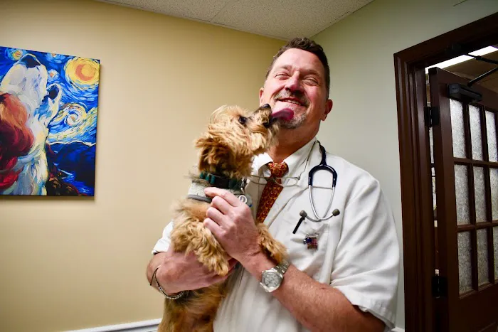 Cross Keys Animal Clinic Picture 5