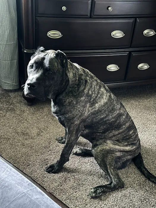 Cross Keys Animal Clinic Picture 8