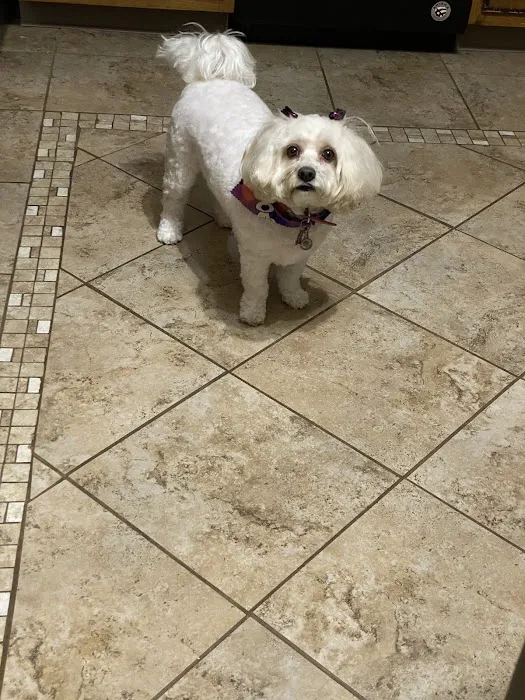 Cross Keys Animal Clinic Picture 9