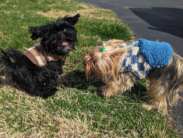 Cross Keys Animal Clinic Picture 10