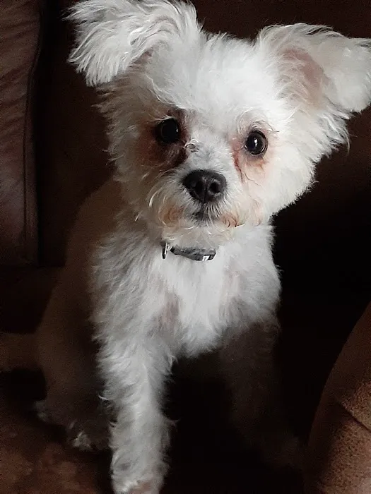 Banfield Pet Hospital Picture 3