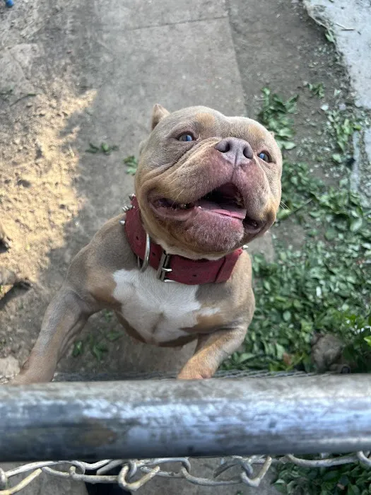 Banfield Pet Hospital Picture 4