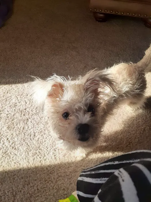 Banfield Pet Hospital Picture 2