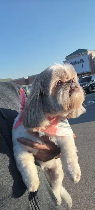 Banfield Pet Hospital Picture 8