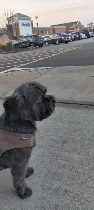 Banfield Pet Hospital Picture 9