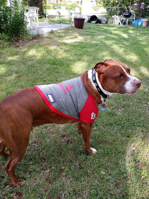 Banfield Pet Hospital Picture 5