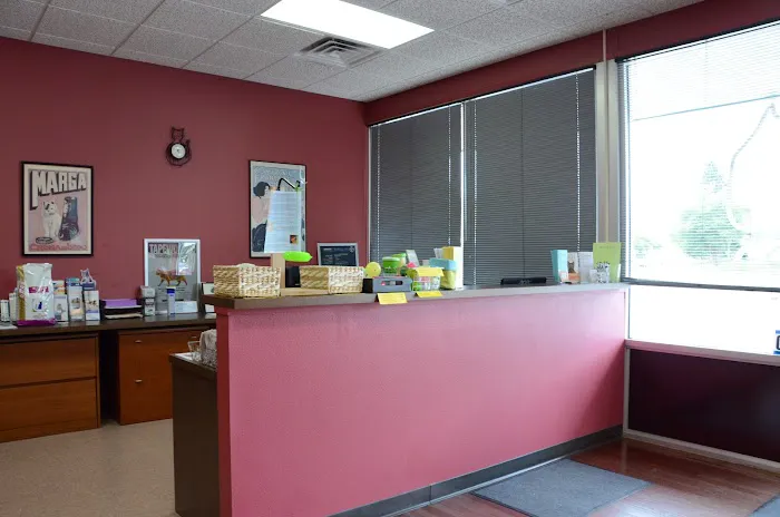 Cat Clinic of Iowa City Picture 6