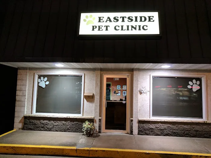 Eastside Pet Clinic Picture 3