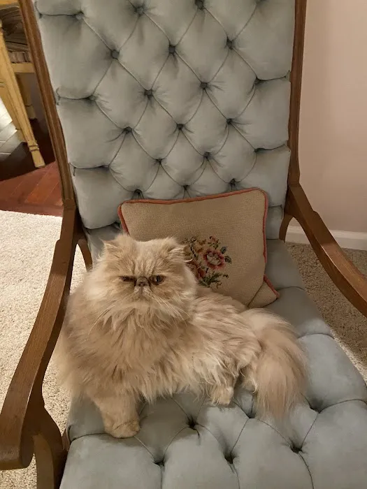 Animal Clinic Inc. Picture 7