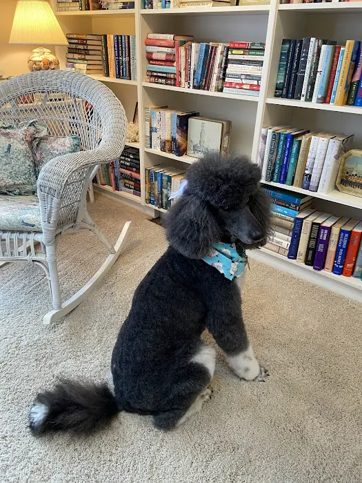 Animal Clinic Inc. Picture 9