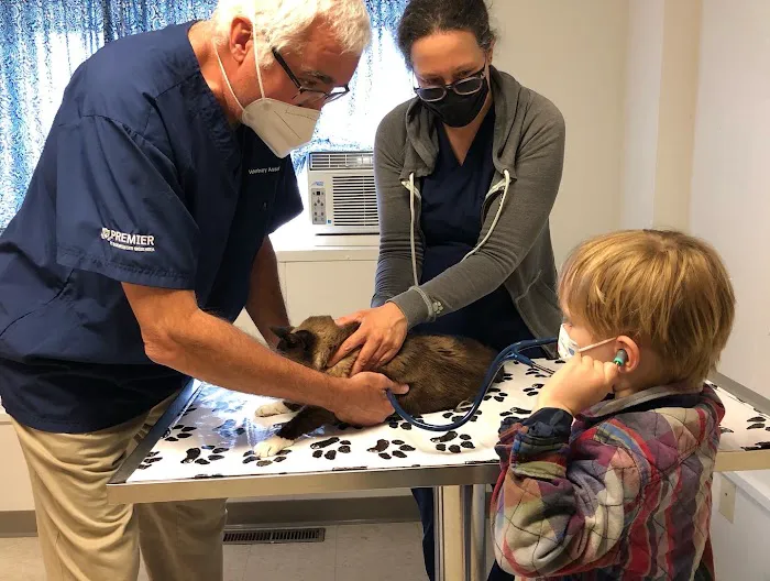 Veterinary Associates Picture 2